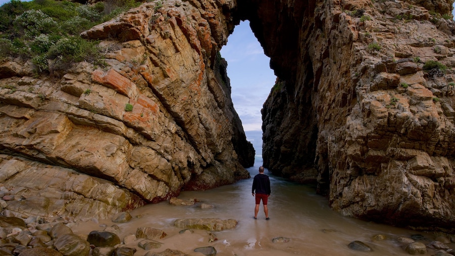 Arch Rock featuring rocky coastline as well as an individual male