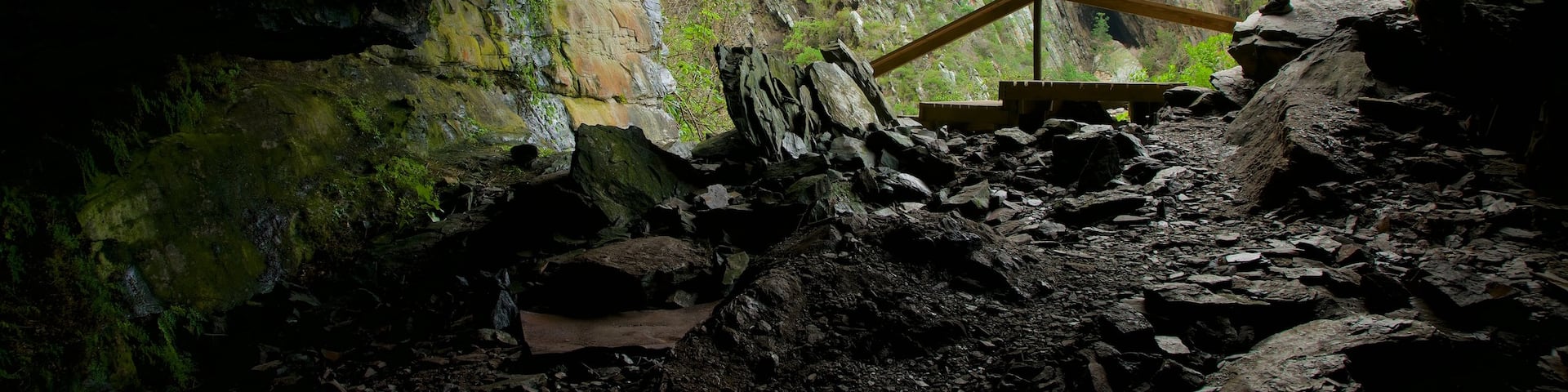 Tsitsikamma National Park featuring caves as well as an individual male