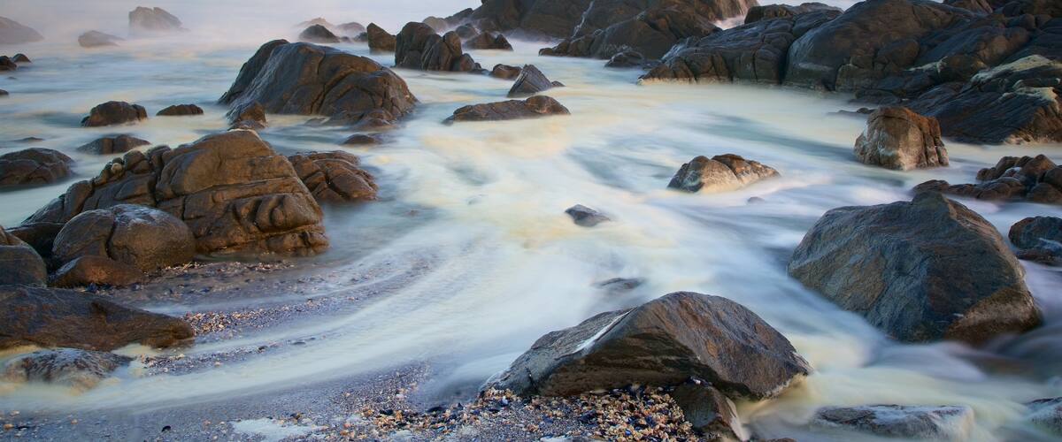 West Coast National Park featuring rocky coastline and waves