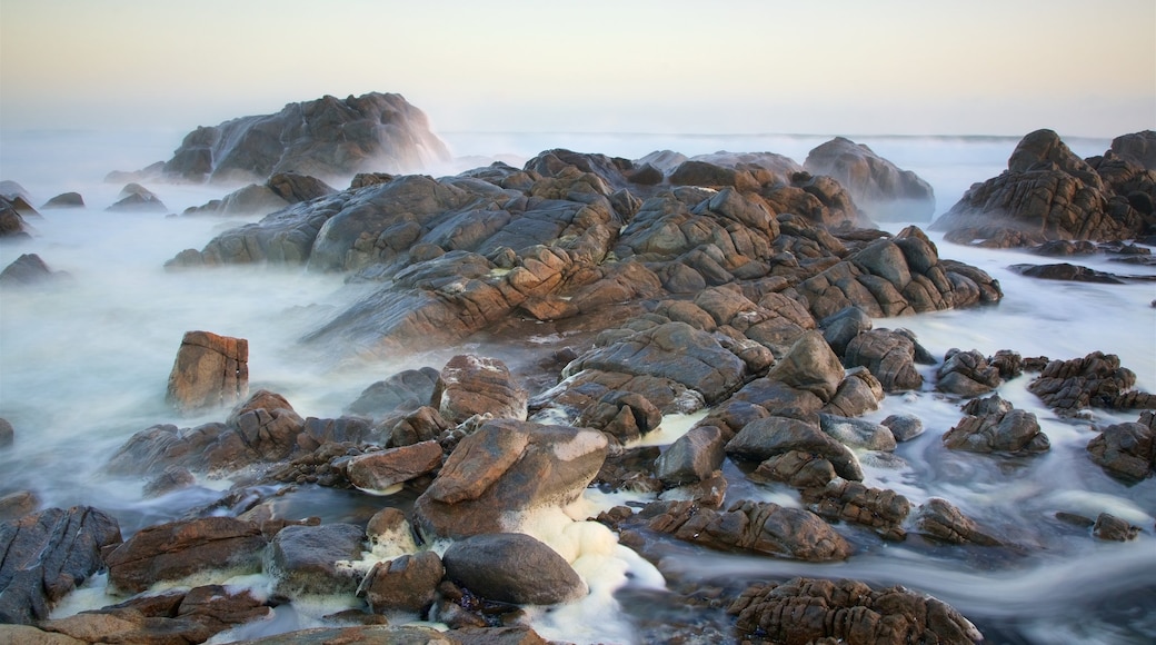 West Coast National Park showing rocky coastline and waves