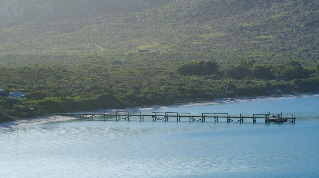 West Coast National Park featuring waves