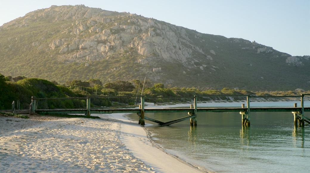 西海岸國家公園 设有 海浪