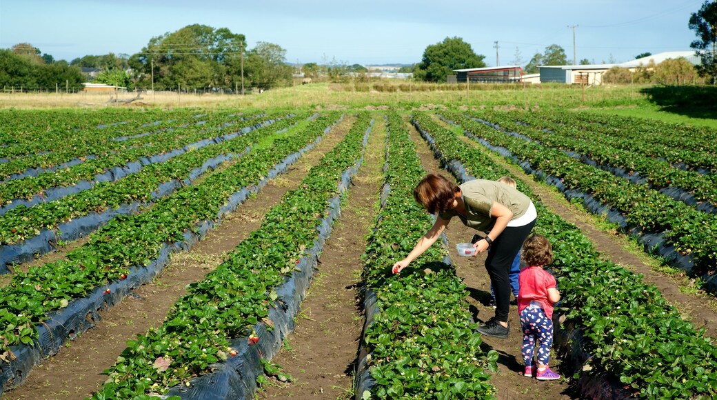 Redberry Farm showing farmland as well as a family