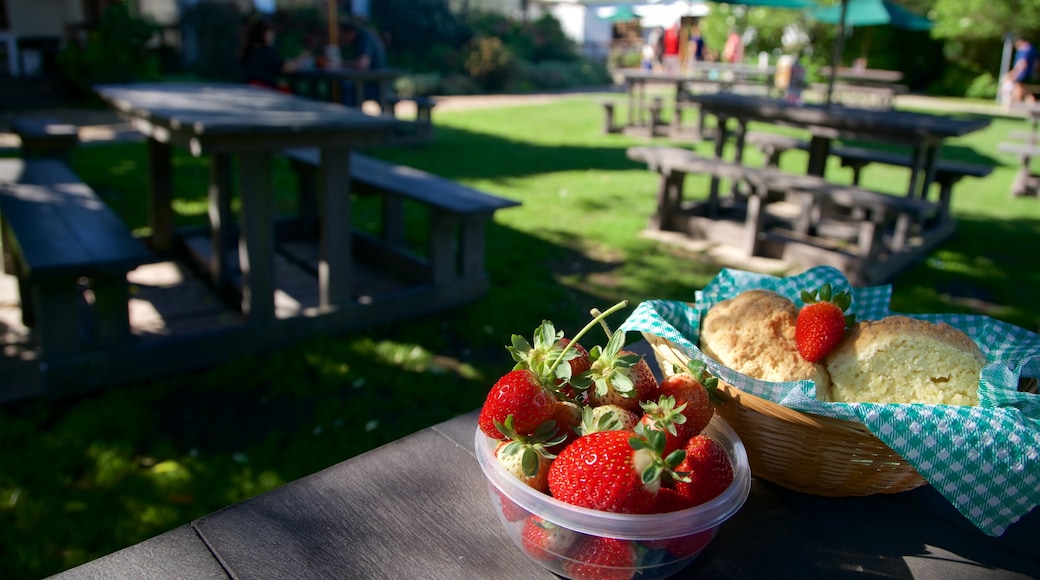 Redberry Farm showing food