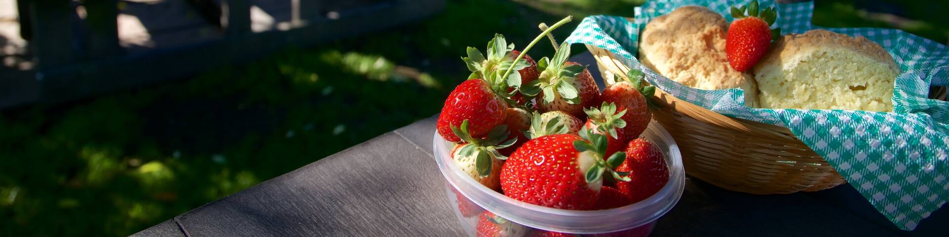 Redberry Farm showing food