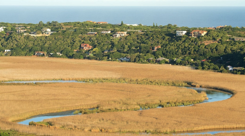 Wilderness National Park showing a river or creek and a garden