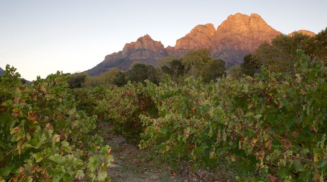 Boschendal Estate showing farmland and a sunset