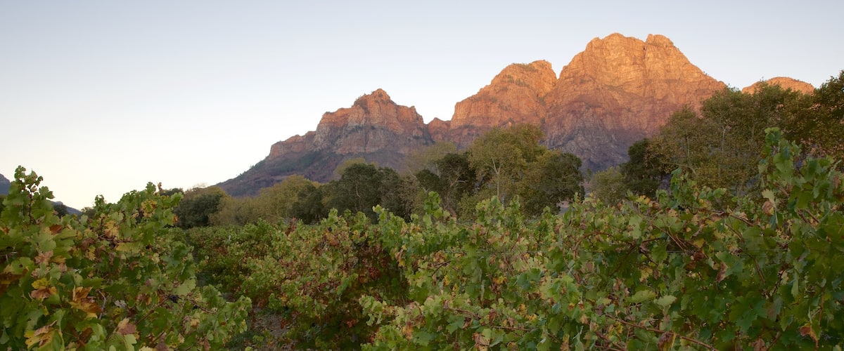 Exploitation viticole Boschendal Estate mettant en vedette ferme et coucher de soleil