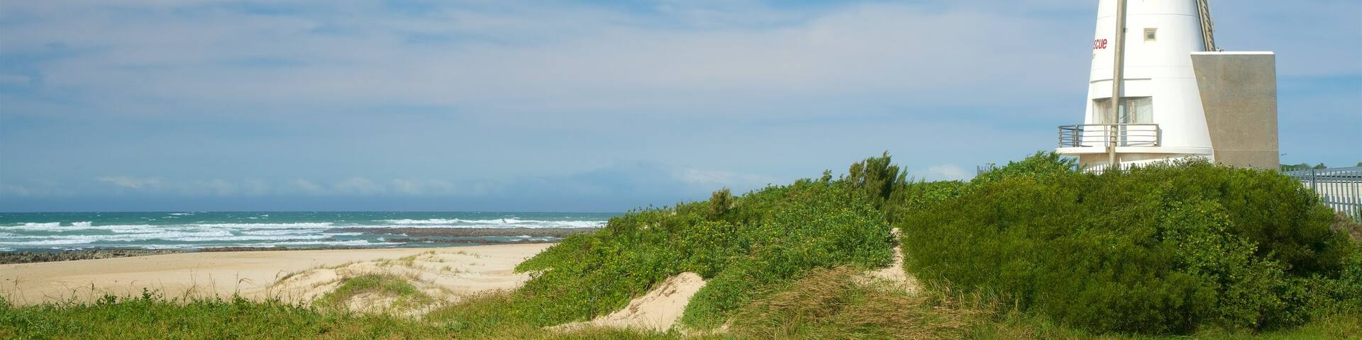 Dolphin Beach featuring a beach