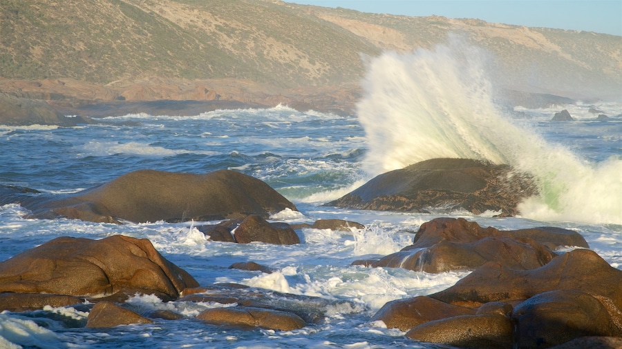 Cape Columbine Lighthouse showing rocky coastline and landscape views