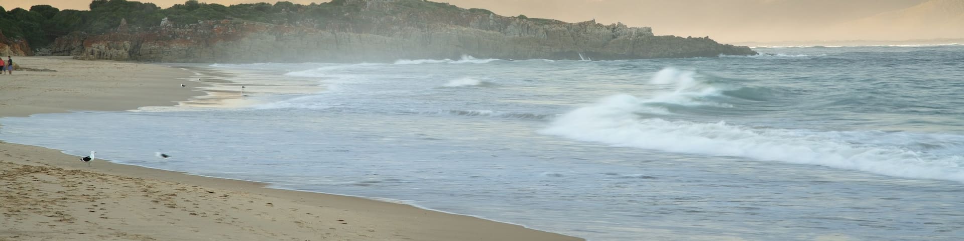 Plettenberg Bay Beach showing landscape views and a sandy beach