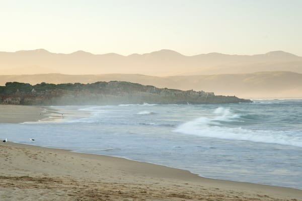 Plage de Plettenberg Bay qui includes panoramas et plage de sable