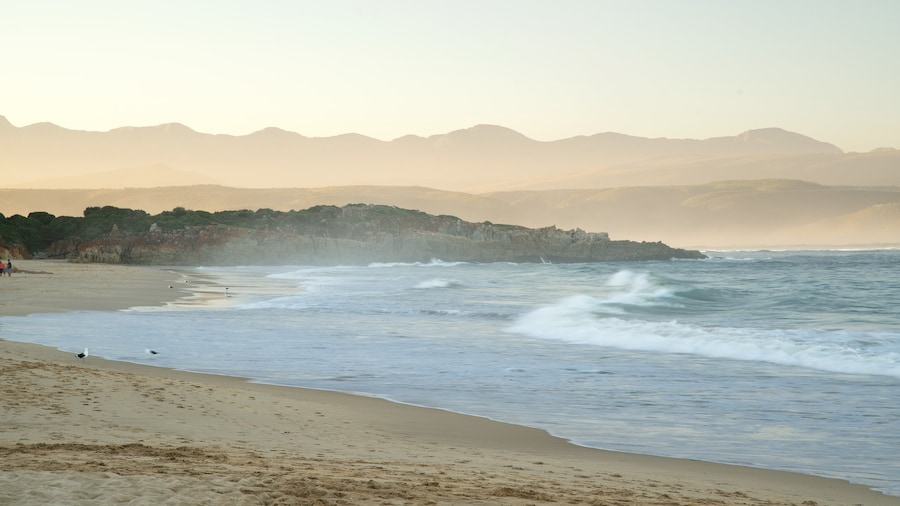 Plettenberg Bay Beach showing a sandy beach and landscape views