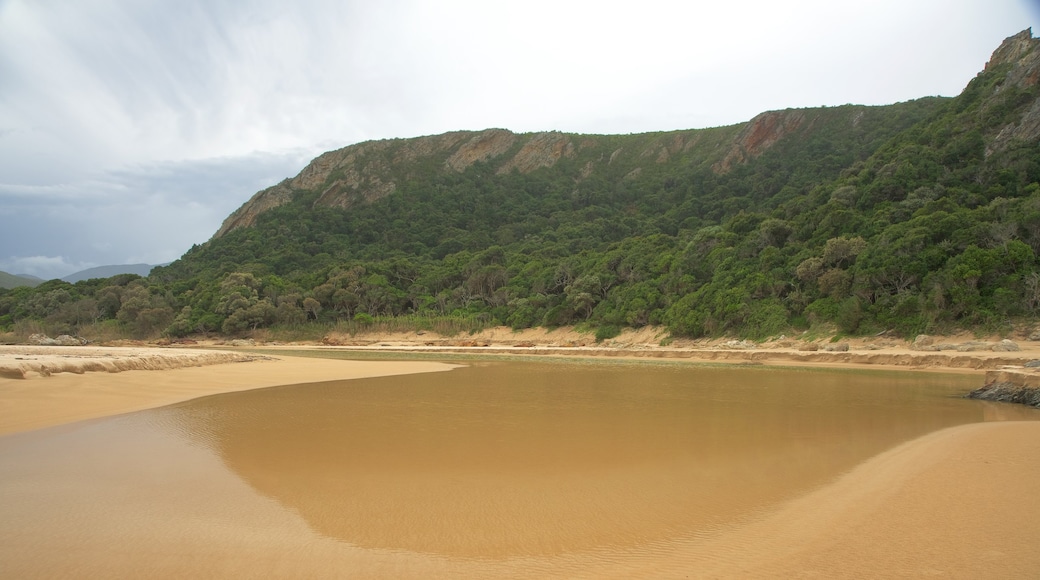 Strand von Nature\'s Valley welches beinhaltet Landschaften, Strand und allgemeine Küstenansicht