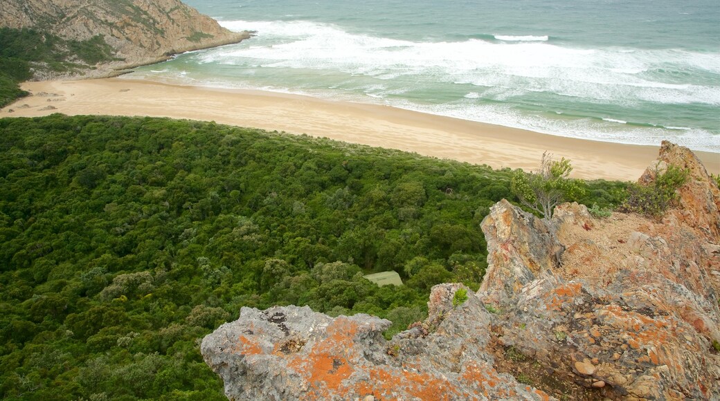 หาด Natures Valley ซึ่งรวมถึง ชายหาด, ทิวทัศน์ป่า และ ชายฝั่งทะเล