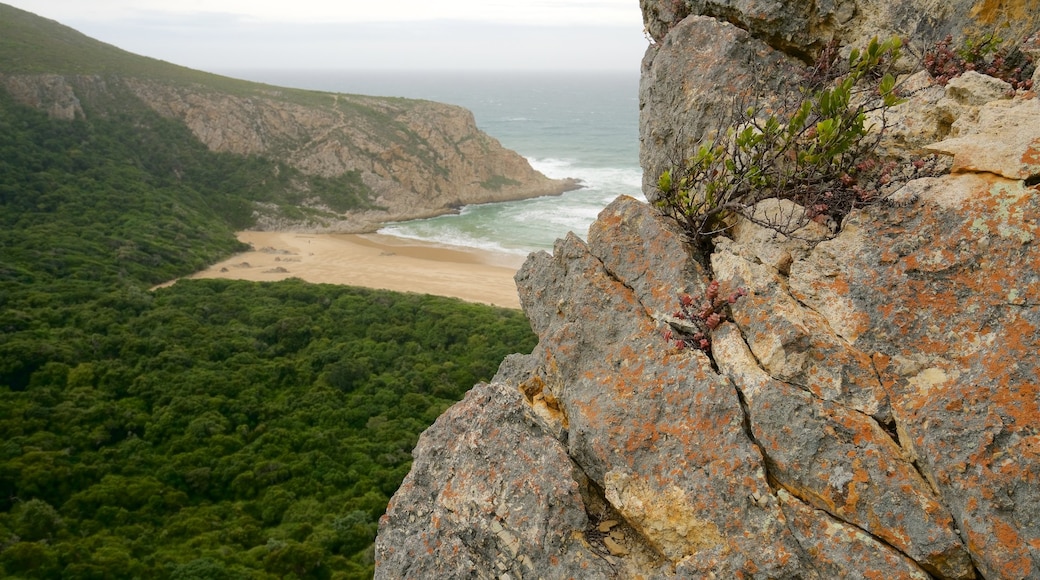 Natures Valley Beach featuring landscape views, general coastal views and rocky coastline