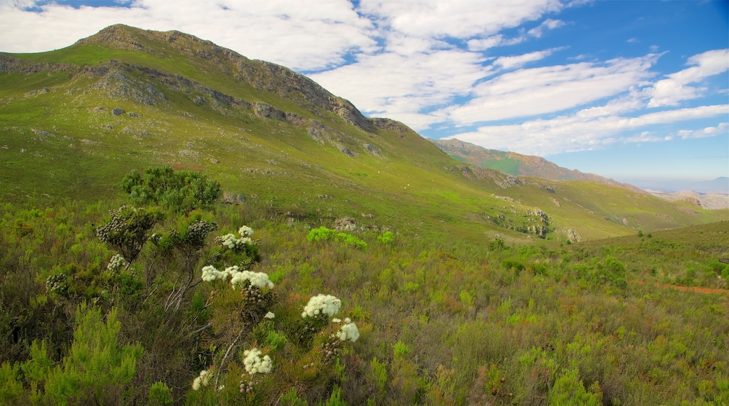 Mont Rochelle Naturreservat som viser fredfyldte omgivelser, bjerge og udsigt over landskaber