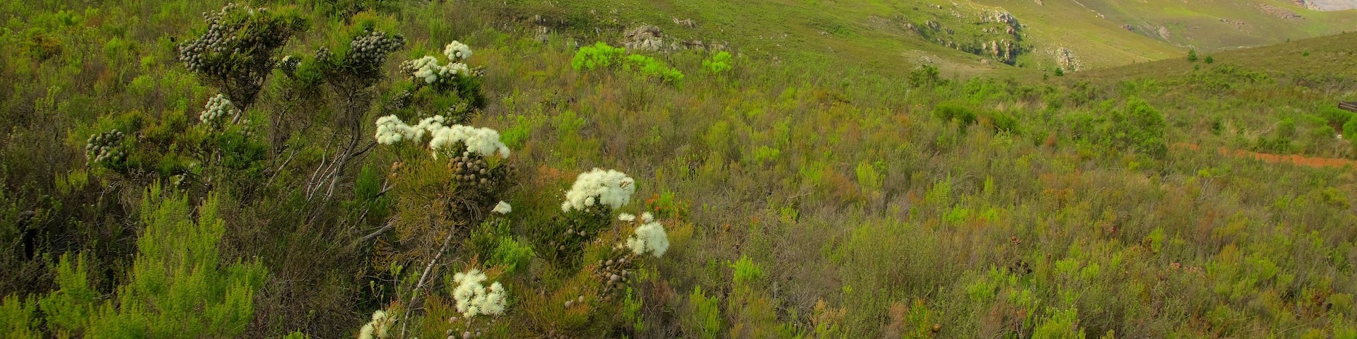 Mont Rochelle Nature Reserve featuring landscape views, tranquil scenes and mountains