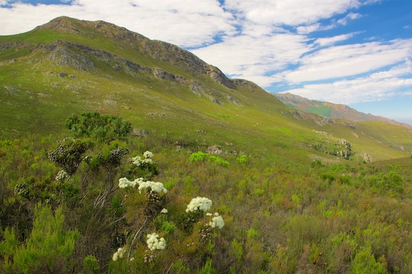 Mont Rochelle Nature Reserve showing tranquil scenes, mountains and landscape views