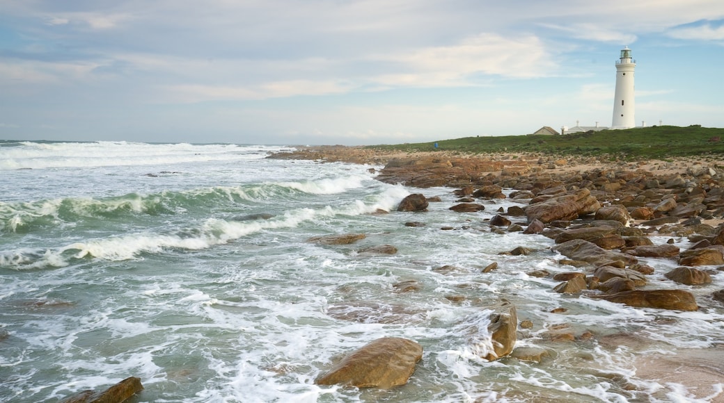 Seal Point Lighthouse que inclui litoral acidentado, um farol e paisagens litorĂąneas
