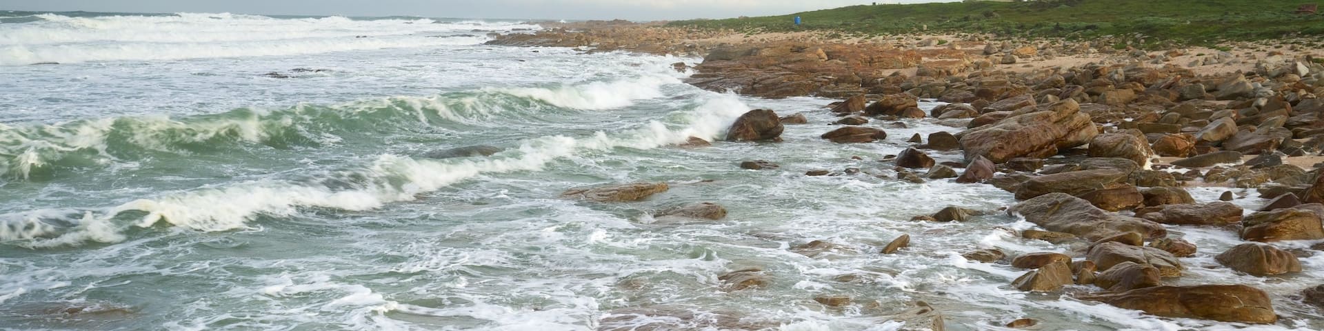 Seal Point Lighthouse showing general coastal views, a lighthouse and rocky coastline