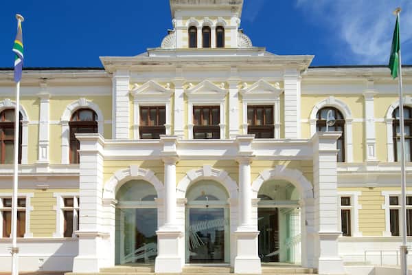 サウス アフリカン ミュージアム アンド プラネタリウム 表示 遺跡