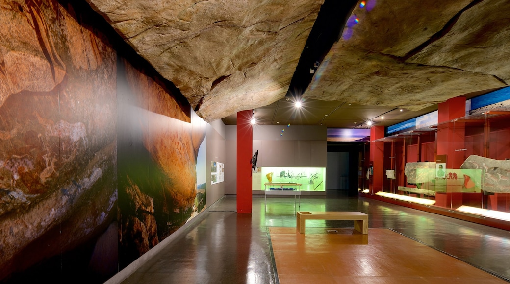 South African Museum and Planetarium featuring interior views