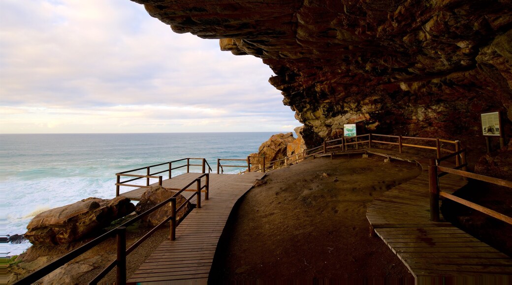 Cape St Blaize Cave featuring general coastal views, rugged coastline and views