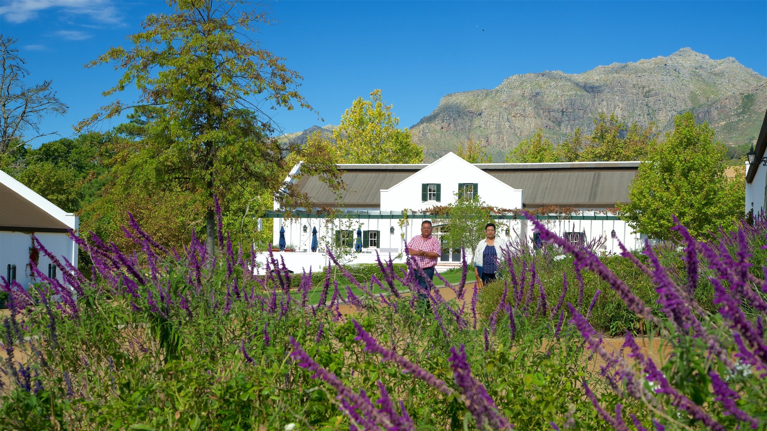 The Franschhoek Motor Museum