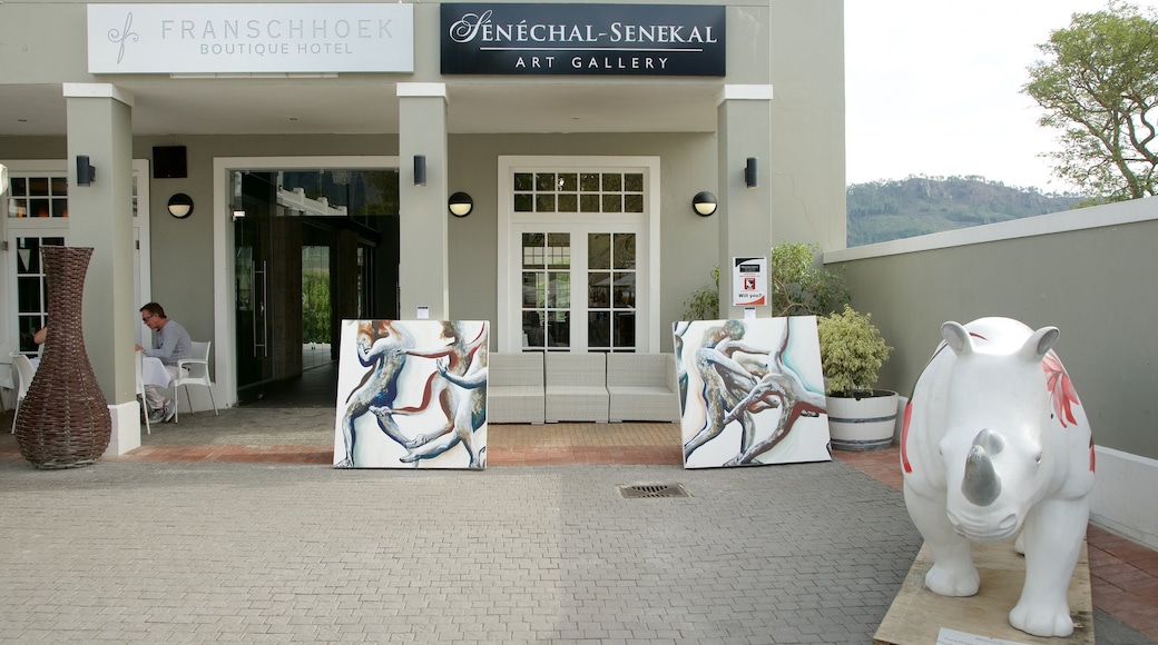 Franschhoek showing art and signage