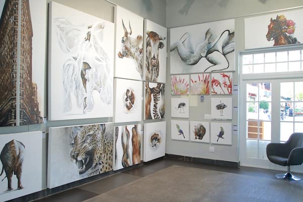 Franschhoek mit einem Innenansichten und Kunst