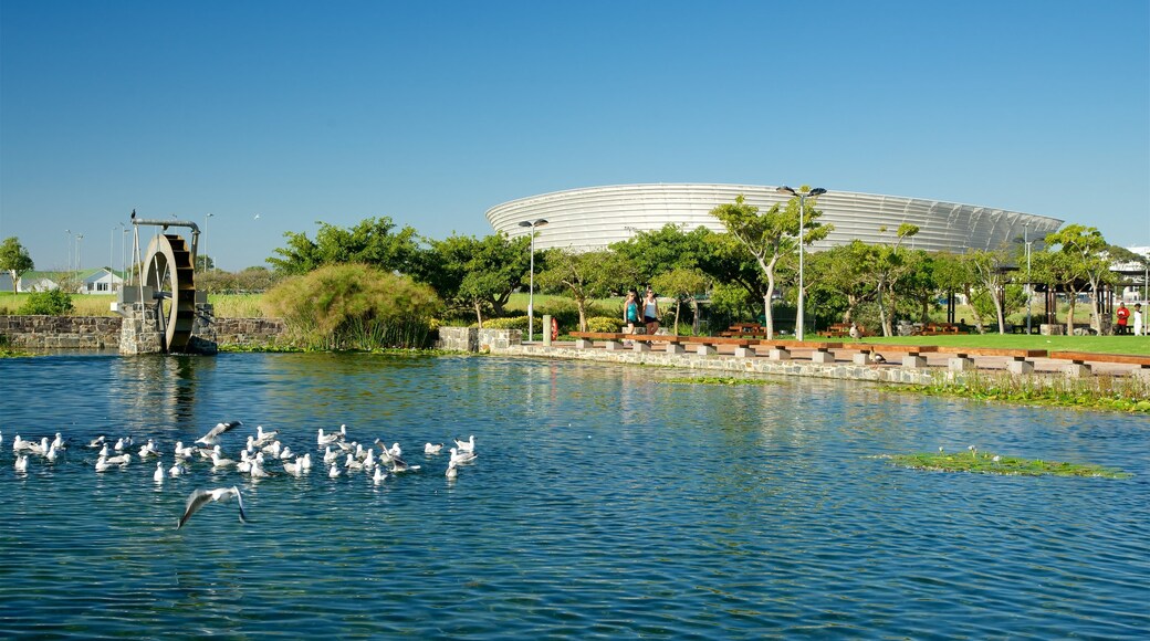 Green Point Park que incluye un parque, aves y un lago o laguna