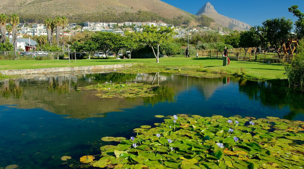 Cape Town featuring a pond and a garden as well as an individual female