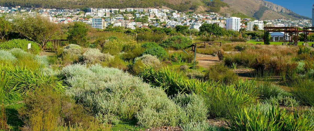 Cape Town which includes a park