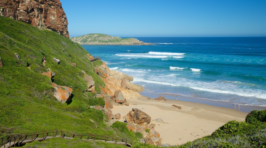 Robberg Nature Reserve mostrando vistas de una costa, litoral rocoso y olas