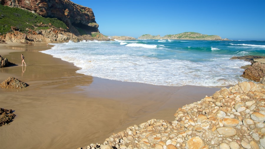 Robberg Nature Reserve showing a sandy beach, general coastal views and rugged coastline