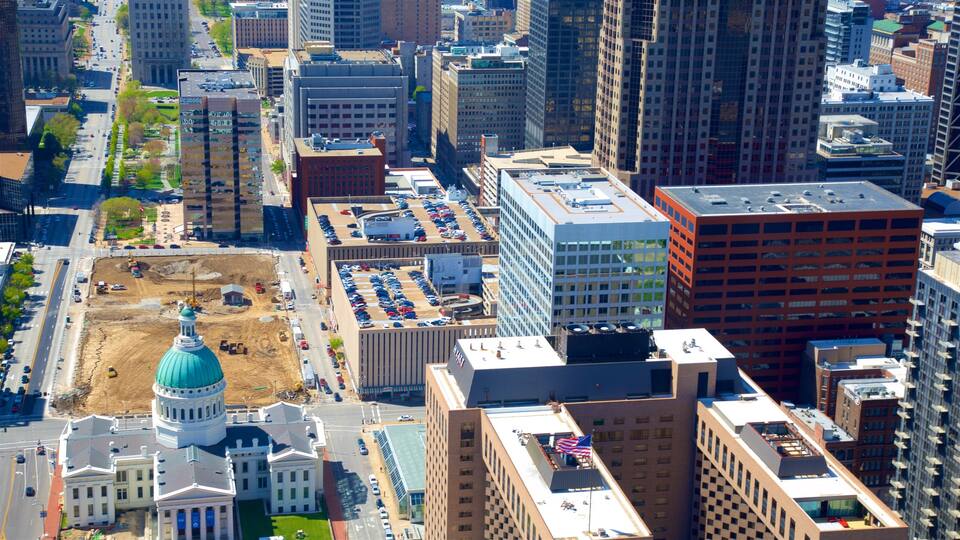 Gateway Arch showing a city and city views