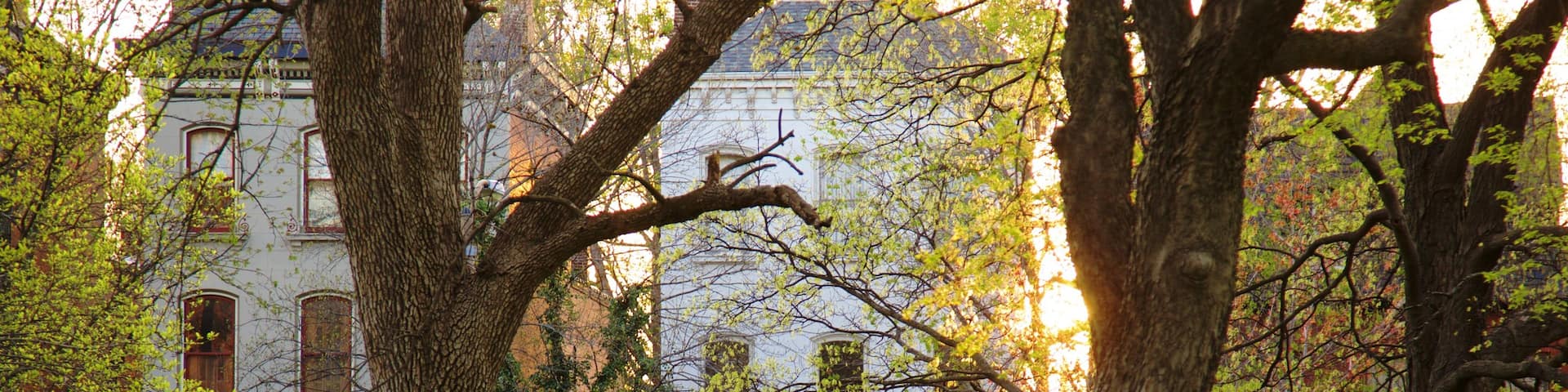 Lafayette Square which includes a house and a garden
