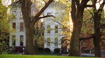 Lafayette Square che include casa e parco