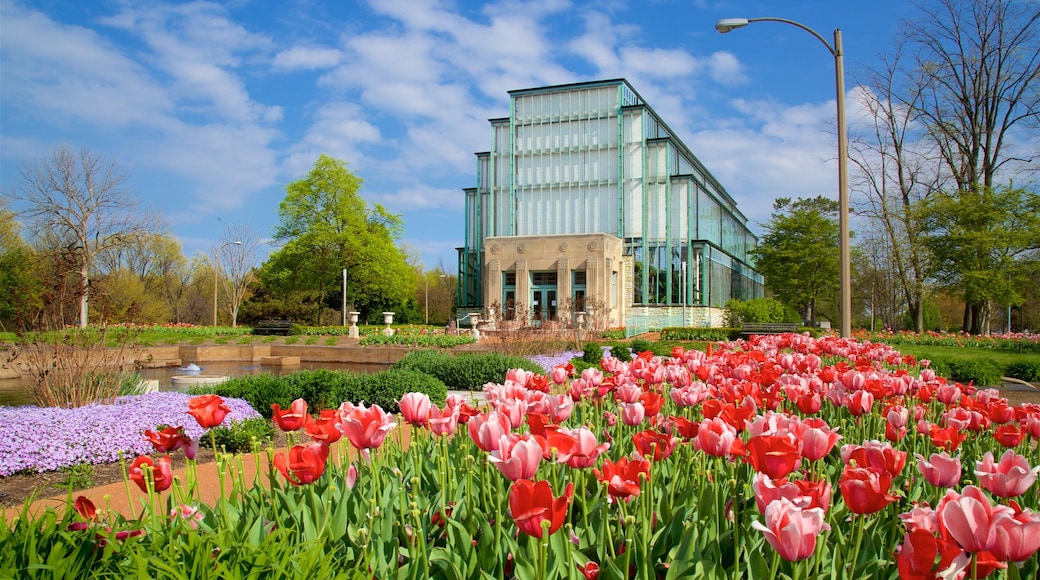 Forest Park which includes a pond, flowers and modern architecture