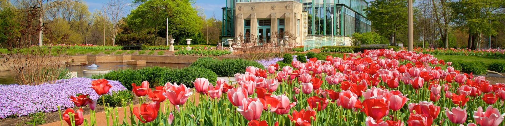 Forest Park showing flowers, a garden and modern architecture