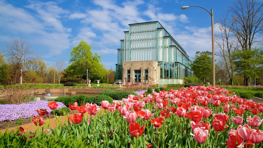 Forest Park showing a pond, flowers and modern architecture