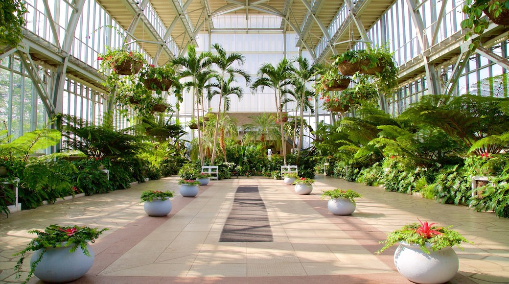 Forest Park mettant en vedette vues intérieures, parc et fleurs