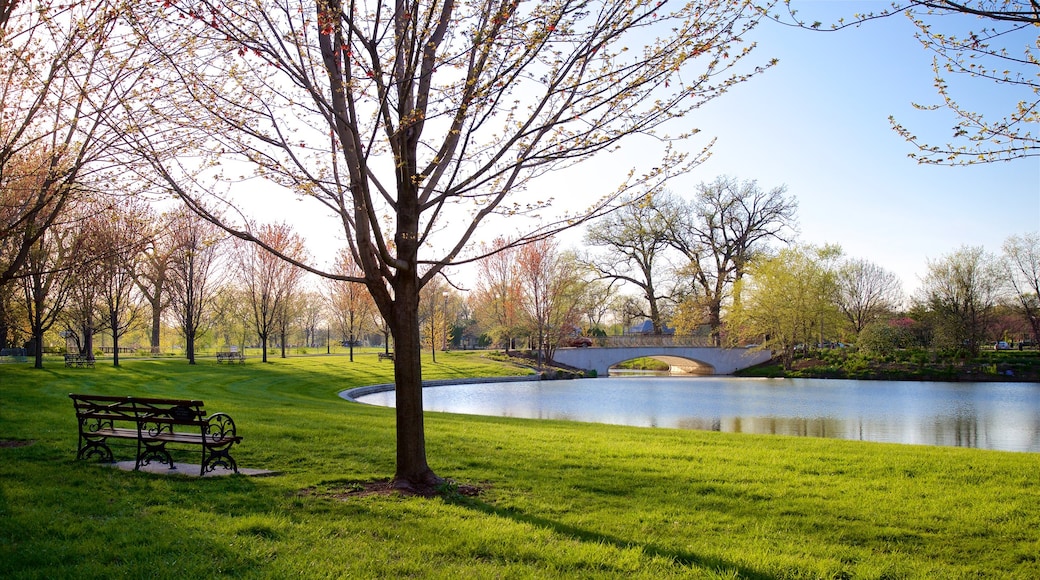 Forest Park featuring a pond, a bridge and a garden