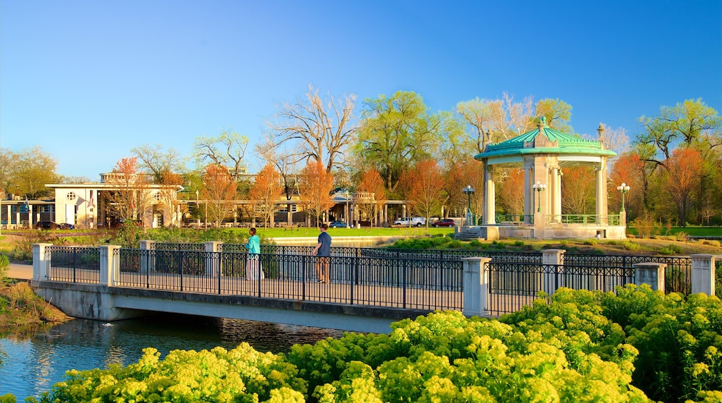 Forest Park mettant en vedette mare, pont et jardin