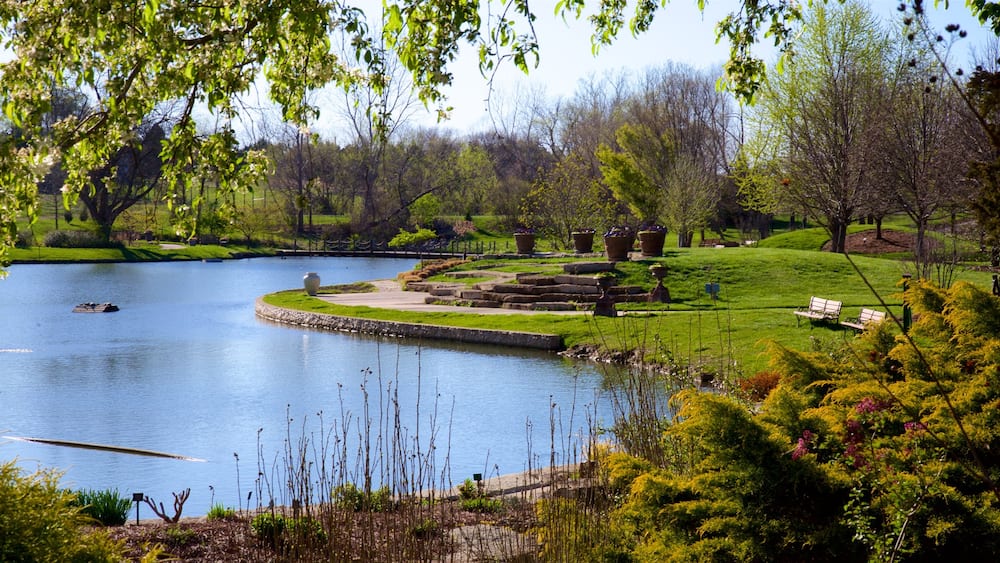Kansas City mettant en vedette jardin et mare