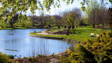 Kansas City showing a pond and a garden