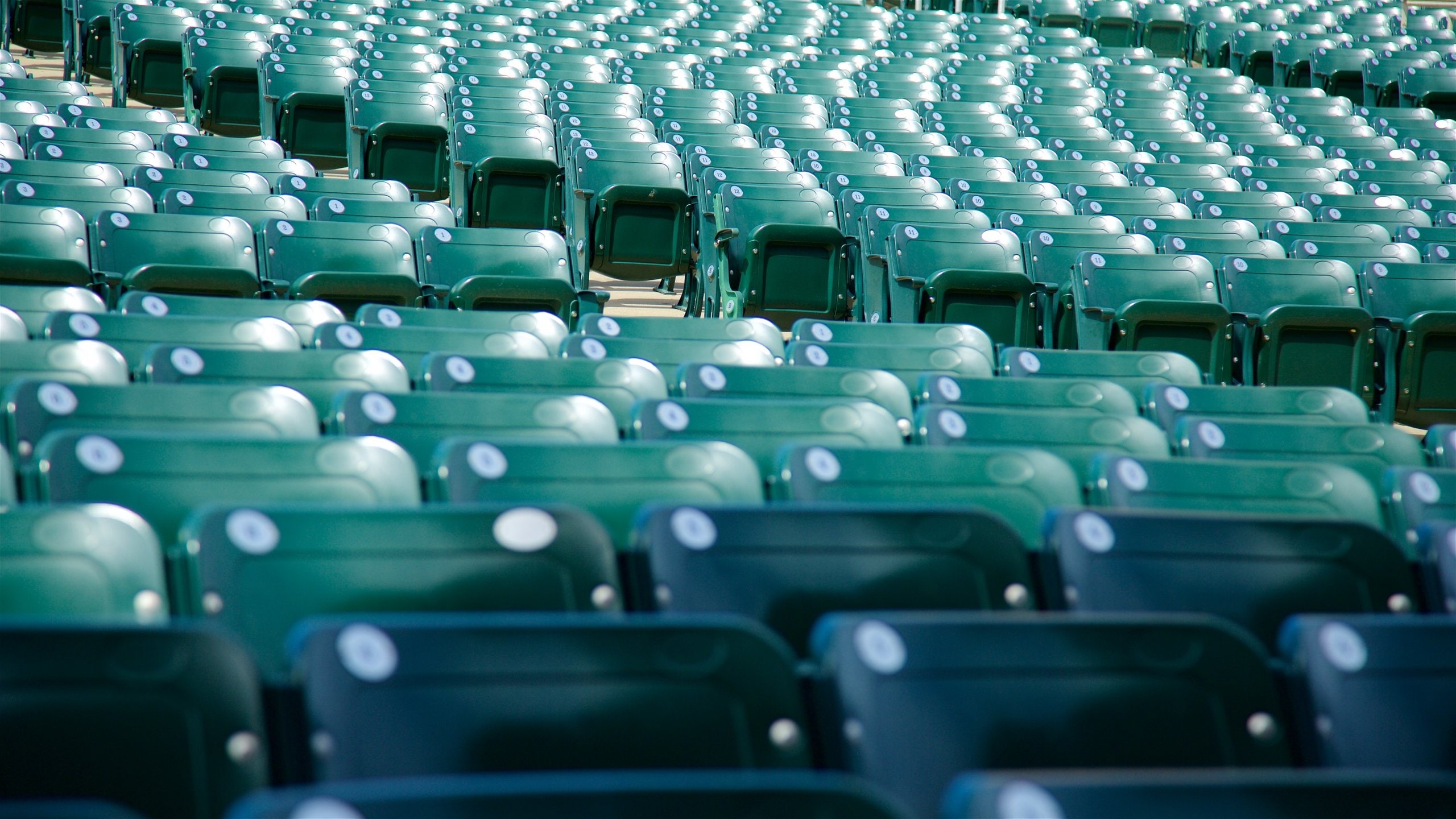 Xxxtentacion Attacked While Onstage In San Diego Complex