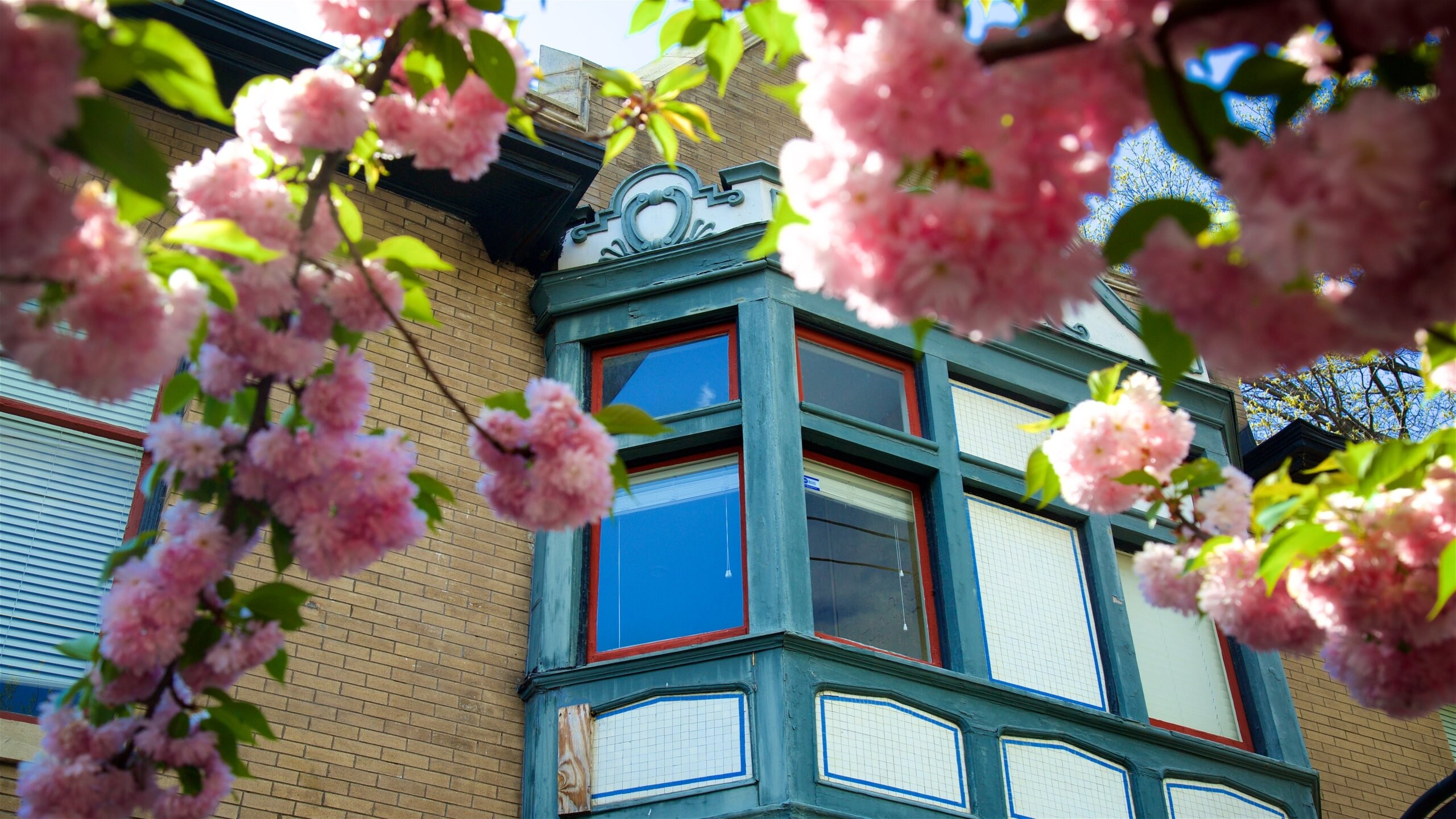 Top condo rentals in Central West End St. Louis Vrbo