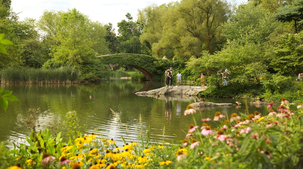 Central Park which includes a park, flowers and a pond